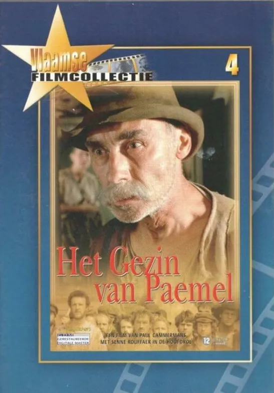 Omslag van Het gezin van Paemel