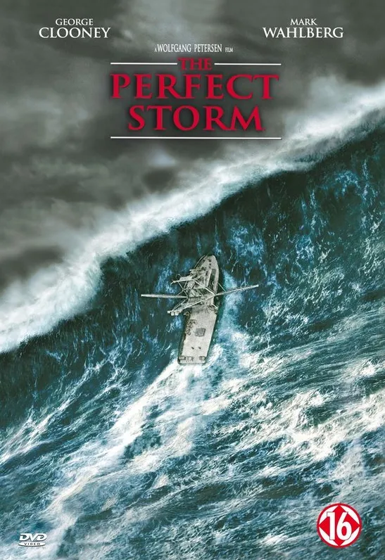 Omslag van Perfect Storm