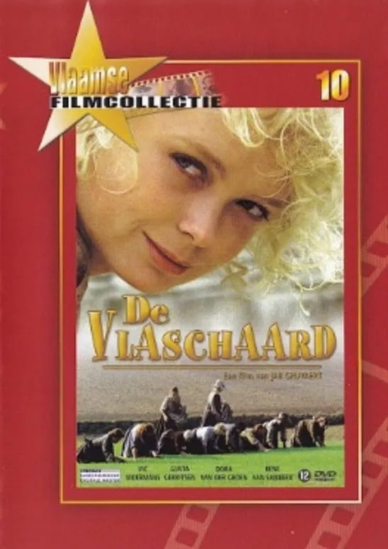 Omslag van De Vlaschaard