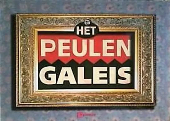 Omslag van Het Peulengaleis