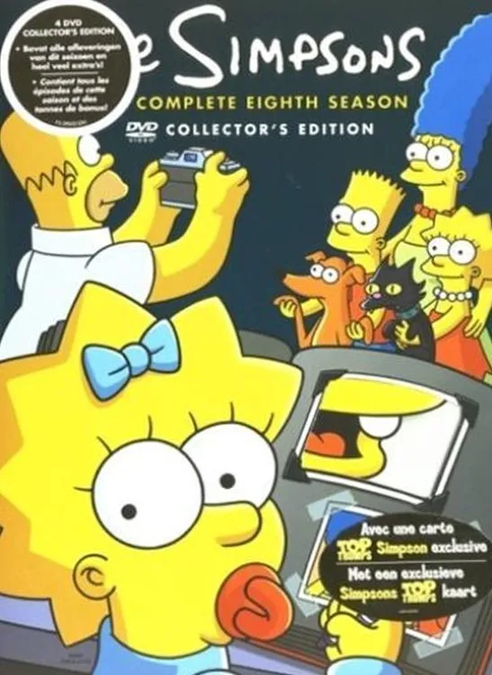 Omslag van Simpsons - Seizoen 8 (DVD)