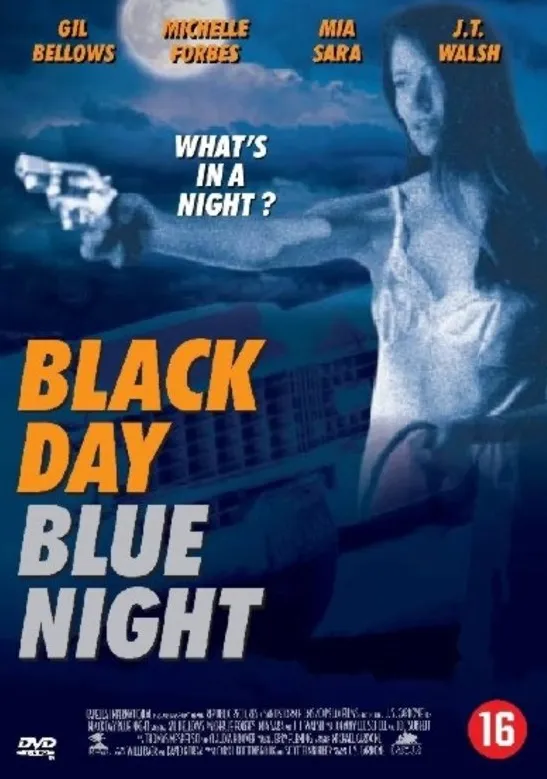 Omslag van Black Day Blue Night