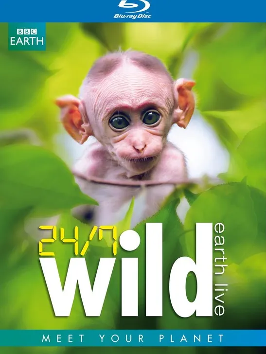 Omslag van BBC Earth - 24/7 Wild (Blu-ray)