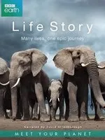 BBC Earth - Life Story (Blu-ray)