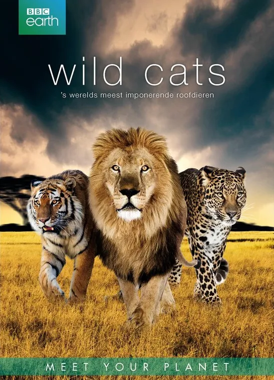 Bbc Earth; Wild Cats Box (3DVD)