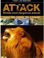 Omslag van Attack - Worlds Most Dangerous Animals