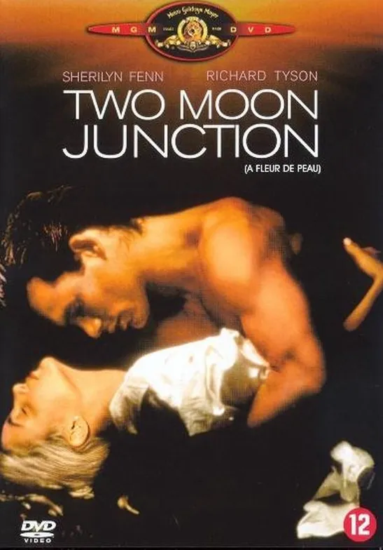 Omslag van Two Moon Junction