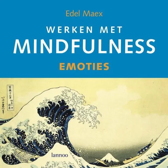 Omslag van Werken met mindfulness Emoties Boek + CD